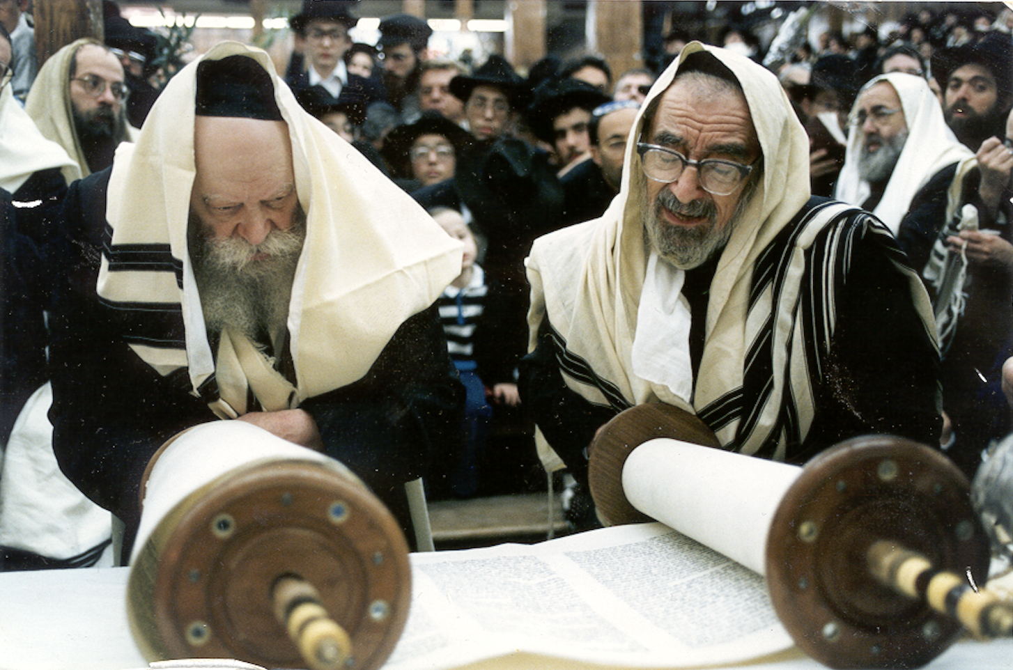 Your Weekly Dose — Kosher Duck Revolution